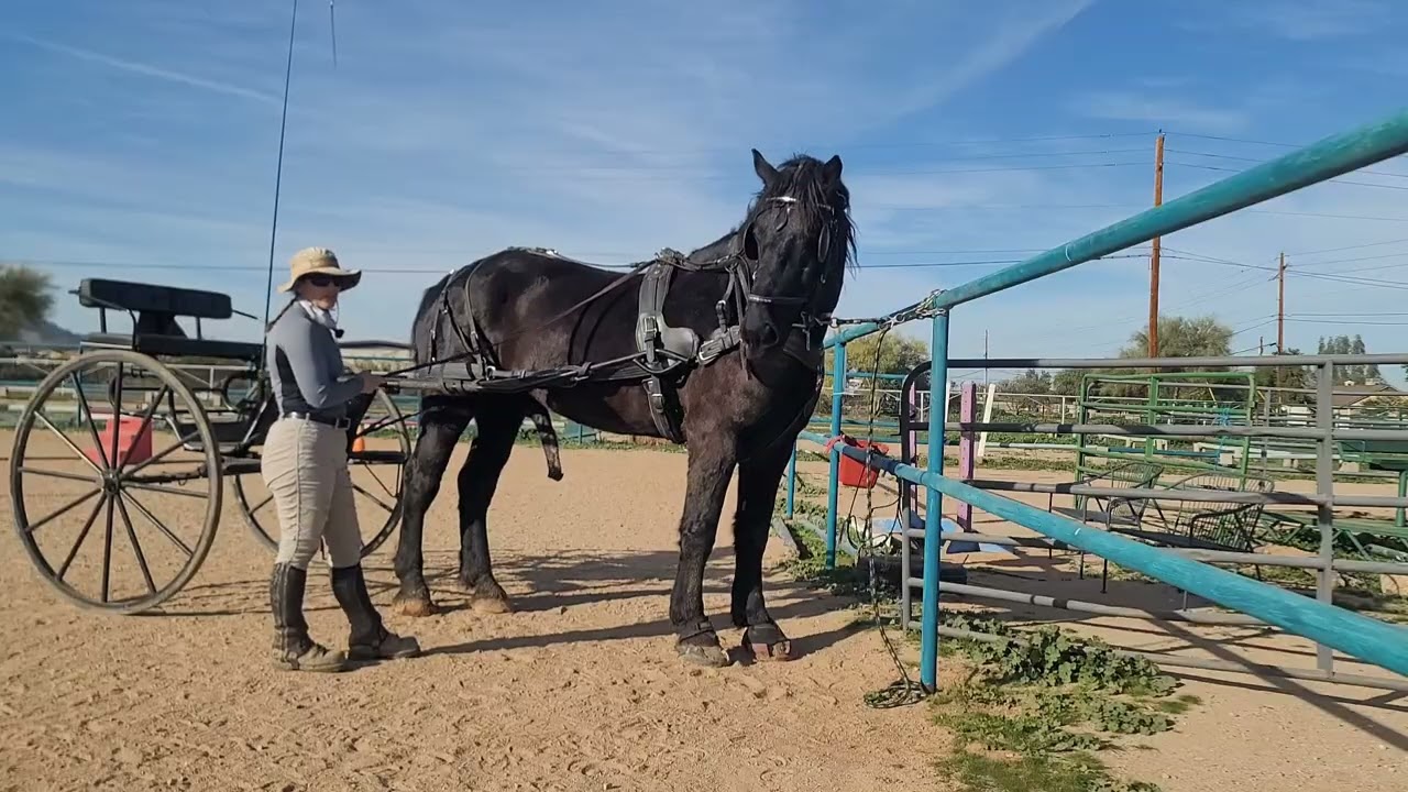 Hooking up and unhooking Draego