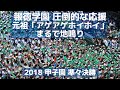 報徳学園 圧倒的な応援「元祖アゲアゲホイホイ」はまるで地鳴り（2018甲子園準々決勝）