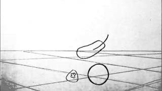 Gravity Studies