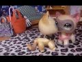 Littlest Pet Shop(LPS)"Слабость популярности"1 сезон 11 серия"Я уезжаю в командировку"