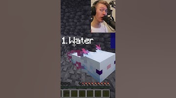 Easiest way to find Axolotls