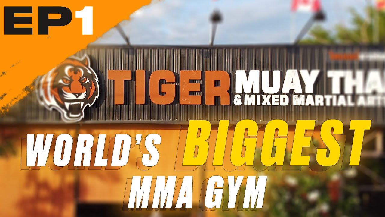 World S Biggest Mma Gym Tiger Muay Thai Ep 1 First Day In Phuket Youtube