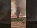 Firenado churns through national forest