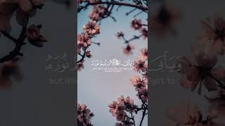 يريدون ان يطفئوا نور الله بافواههم | ياسر الدوسري #قرآن #quran #fyp #viral #shorts