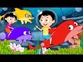 We Are The Dolphins | Kindergarten Songs And Videos For Kids