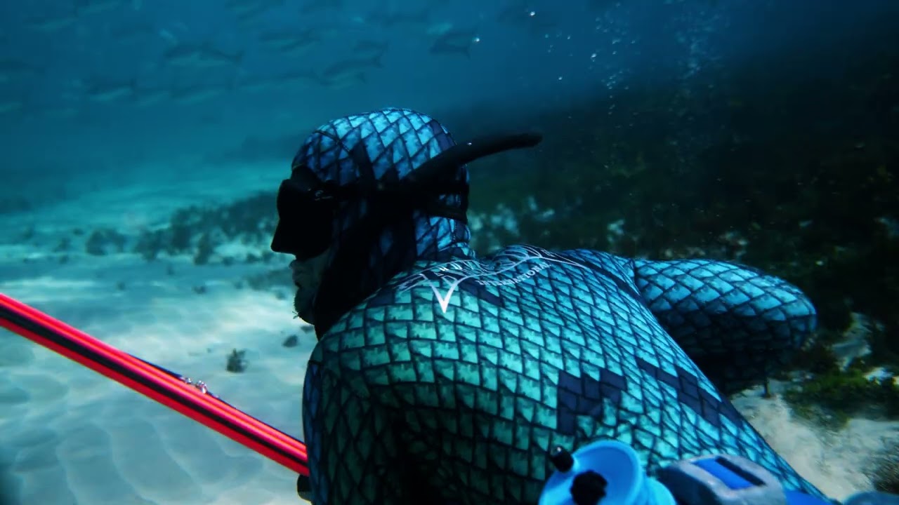 Aimrite Envy Pro Railgun