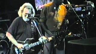 Grateful Dead 9-10-91 MSG NYC