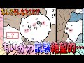 【ちいかわ】ちいかわを発見するもハチワレまで巻き込まれ試験が絶望的になってしまう…【最新話】