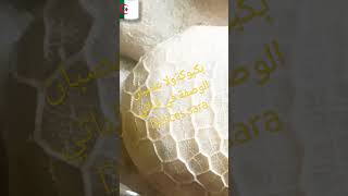 shorts وصفات_سهلة جديد deliciousfood وصفات وصفات العيدعصبان Delices sara