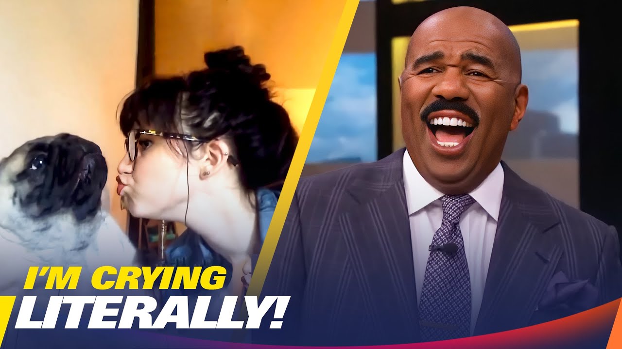 Funniest Videos I’ve Seen All Year Steve Harvey YouTube