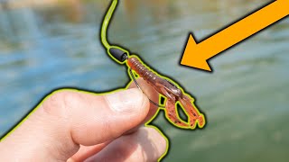 Fishing With MICRO TEXAS RIG For Bass & Bluegill!