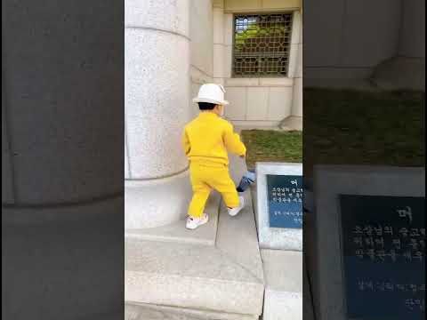 비둘기 추격전 #귀여운아기 #비둘기 #추격전 #<strong>추노</strong>