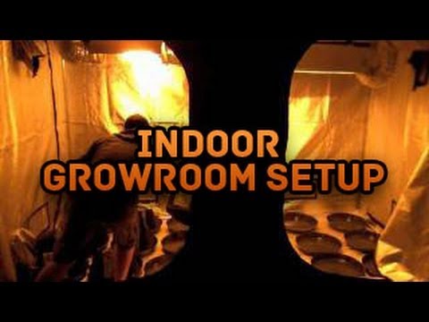 Setting Up Grow Tent Hand Watering Indoor Grow Room Setup Grow Box Setup Layout Design