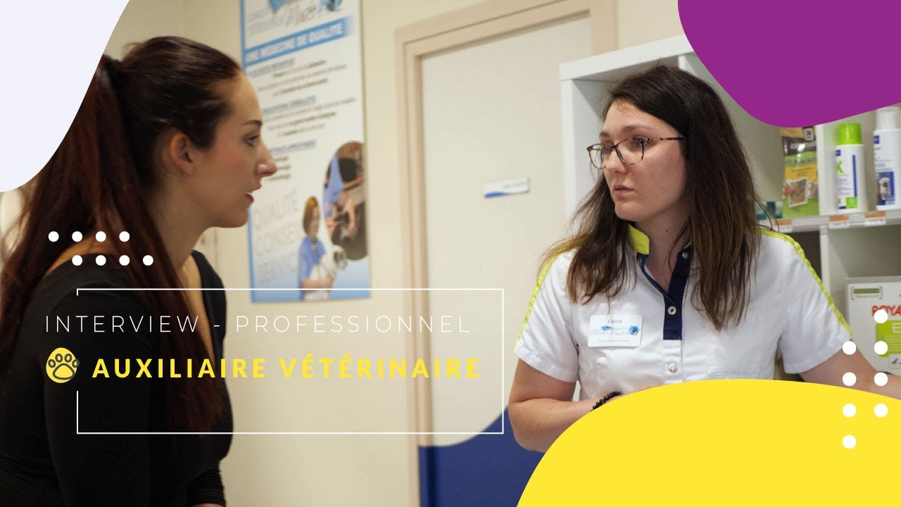 Formation Auxiliaire Vétérinaire | L'interview de Cécile, Auxiliaire Vétérinaire