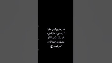 سورة المائدة اية 22-23 بصوت القارئ ياسر الدوسري