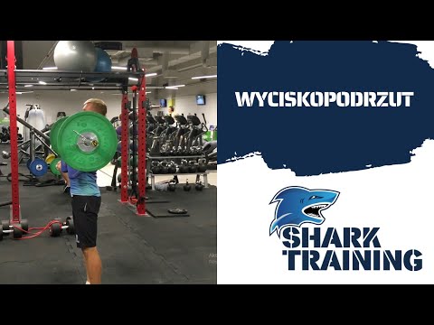 Shark Training -