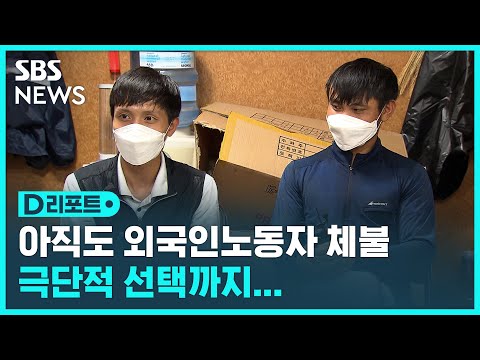   여전한 임금체불 때문에 외국인 노동자 극단적 선택까지 SBS D리포트