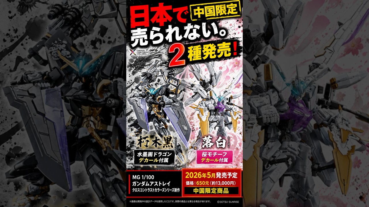 Exclusive to China: Bandai Releases Black and White Astray Models