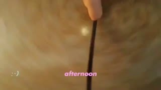 IMG 7495
