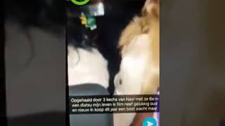 Boef Noemt Meisjes Kechs