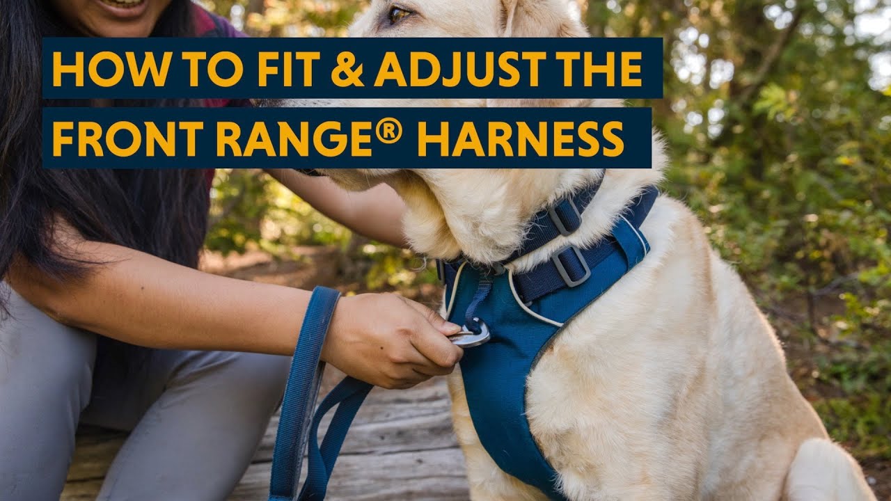 Front Range® Front Clip Dog Harness, No Pull Harness