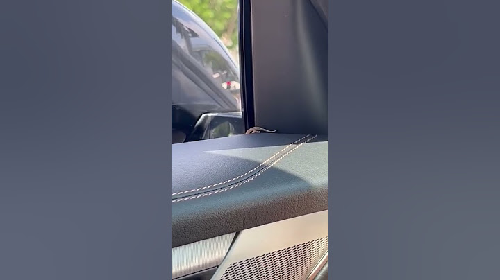 This lizard snuck into my family’s car!!!