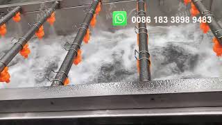 Fully Automatic Air bubble washing machine for Fruits and vegetables  | Clean, Fresh, Effortless!