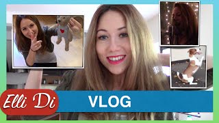 Elli Di VLOG. Блог видеоблогер Элли Ди. Я пою. День с собакой. Джек рассел терьер собака. Elli Di VLOG. Блог видеоблогер Элли Ди. Я пою. День с собакой. Джек рассел терьер собака.