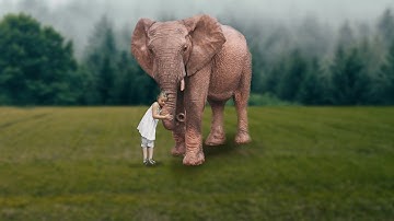 How To Make Elephant Manipulation in Adobe Photoshop Tutorial