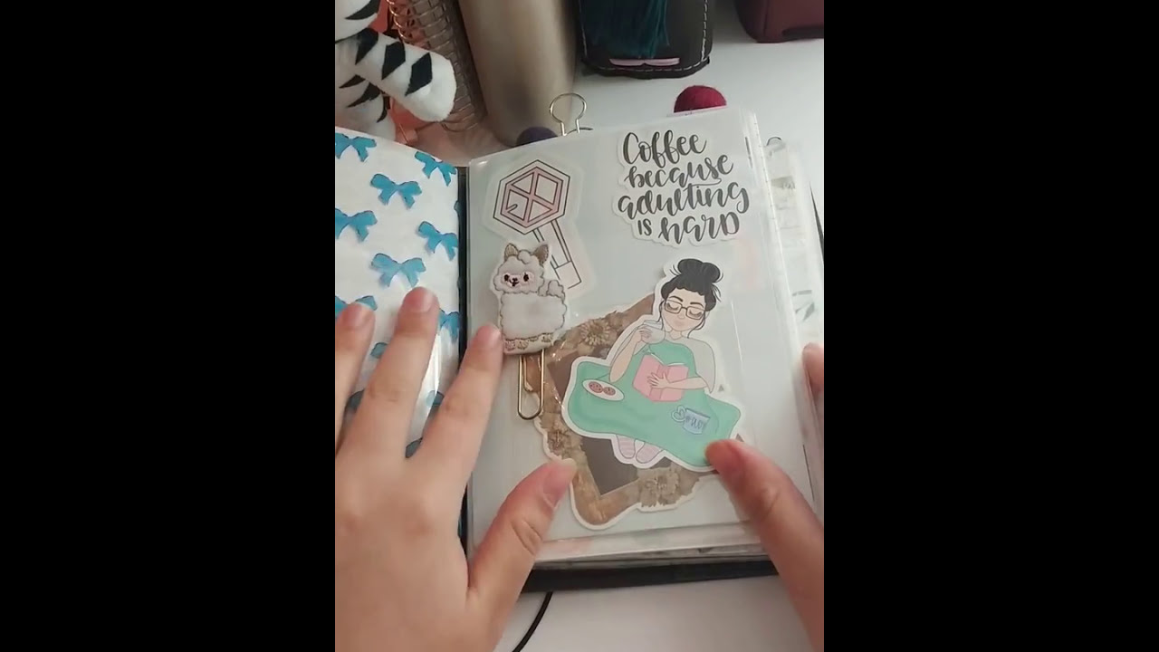 MLGandCo B6 Traveler's Notebook Flip Through