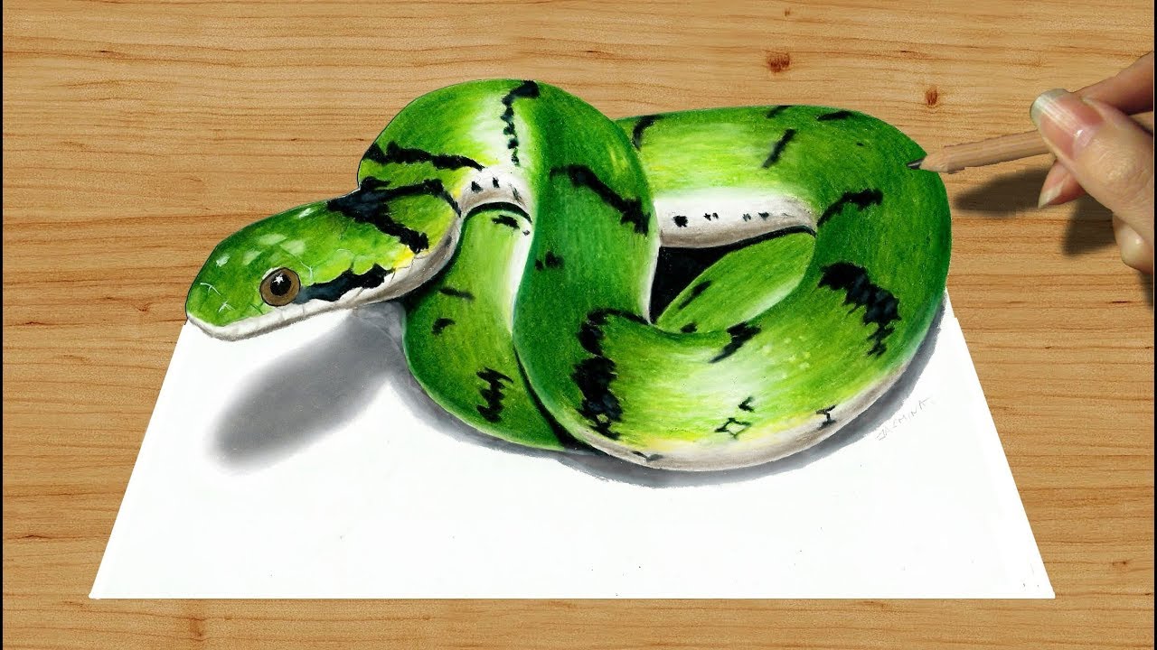 Featured image of post 3D Drawing Snake There s only a head without ears and a long tail what can go wrong