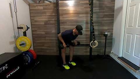 Supinated Dumbbell Bent Over Row