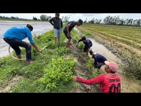 Bắt Chuột Cách Này Con Nào Chạy Thoát 