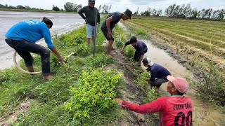 Bắt Chuột Cách Này Con Nào Chạy Thoát | Hunting | - TT1695