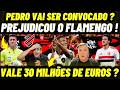 ARBITRAGEM PREJUDICOU O FLAMENGO ! PEDRO VAI SER CONVOCADO ? DANILO VALE 30 MILHÕES DE EUROS ?