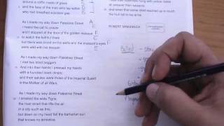 Discussion of Structure of Yellow Palm