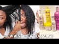 Reviving my heat damage hair using Aphogee 2 step protein treatment