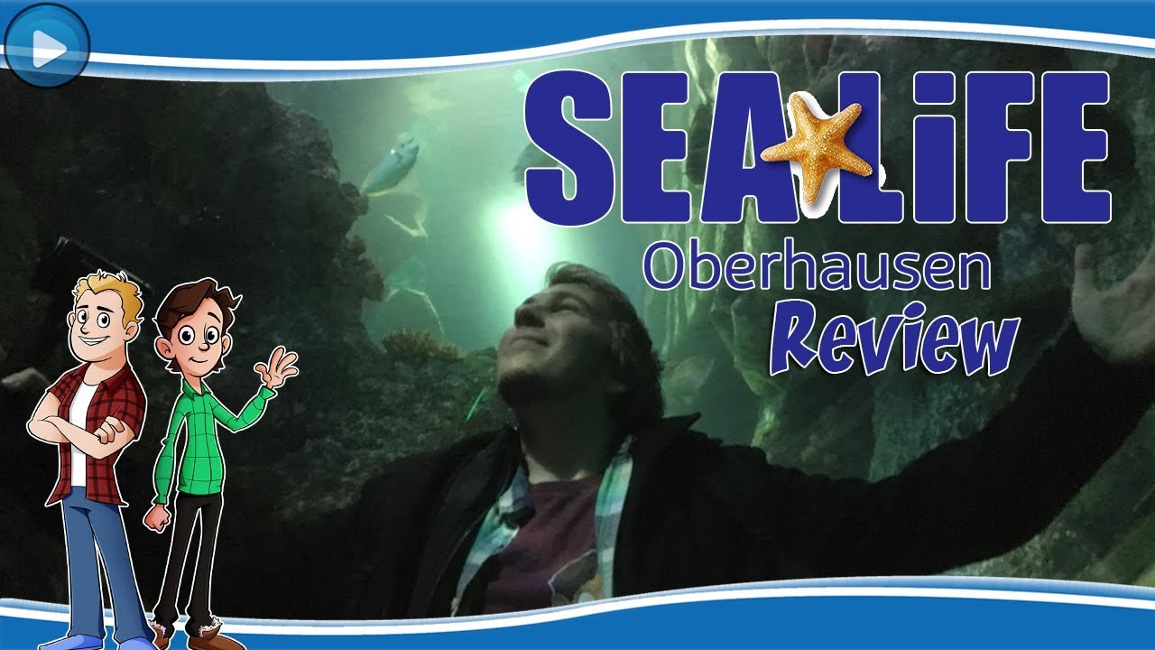 VERBAZINGWEKKENDE THEMATISERING! - SEA LIFE OBERHAUSEN REVIEW