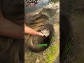 Rock Hole Treasure Hunt