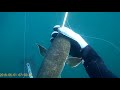 Подводная охота Черное море ЮБК 2018