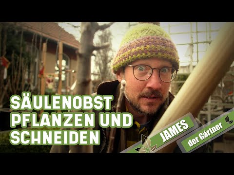 Video: Säulenkirsche: Beschreibung, Pflege, Anbaumerkmale und Bewertungen