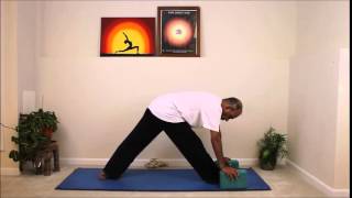 Parshvottanasana - intense side stretch 