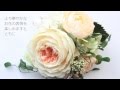 【プリザーブドフラワー　コサージュ】