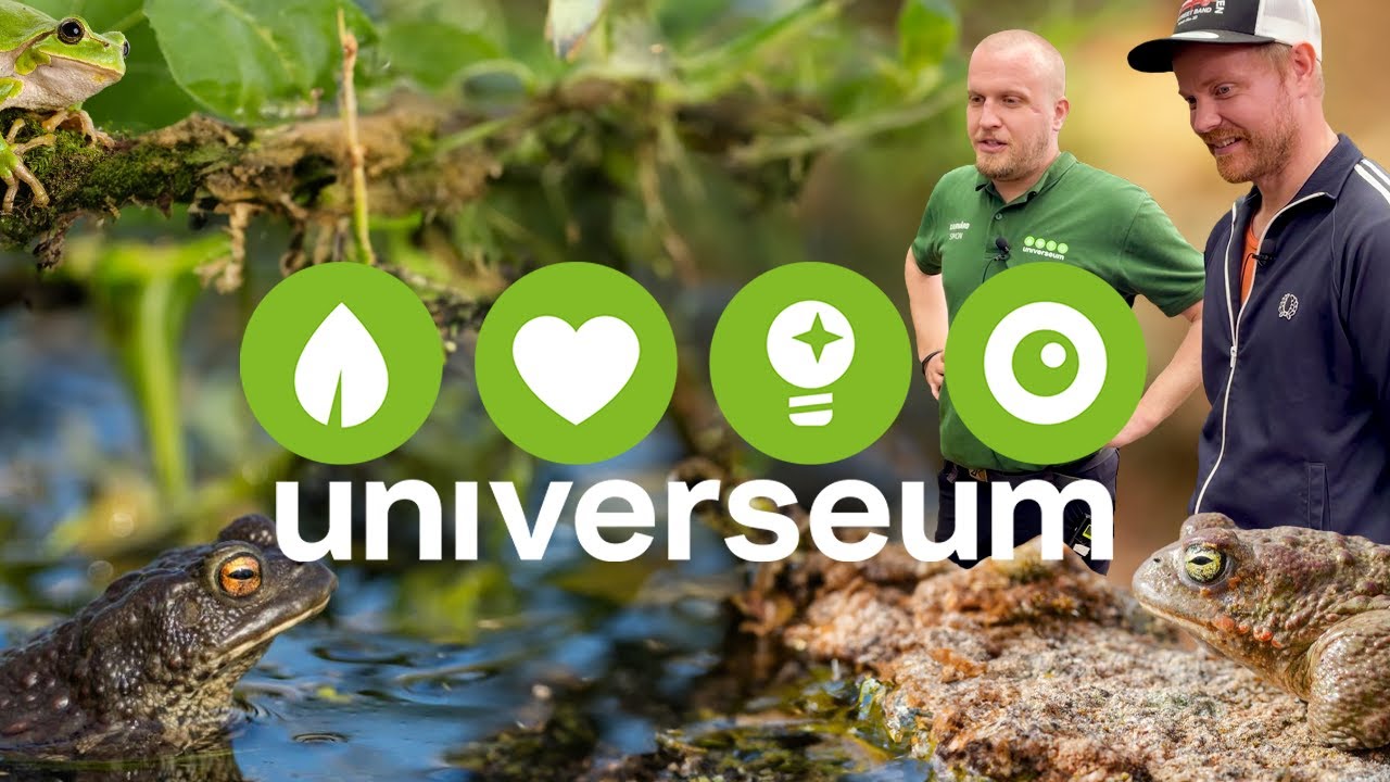 Vi besöker Universeum - Amfibier & Reptiler