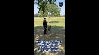 K-9 Bloopers…🐾