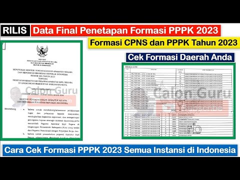 RILIS Jumlah Formasi PPPK 2023 Seluruh Kab/Kota di Indonesia (PPPK Guru, PPPK Nakes, PPPK Teknis)