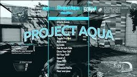 Black ops 2 Project Aqua Mod Menu + download link