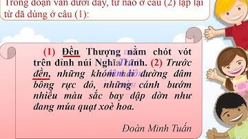 Liên kết các câu trong bài bằng cách lặp từ ngữ
