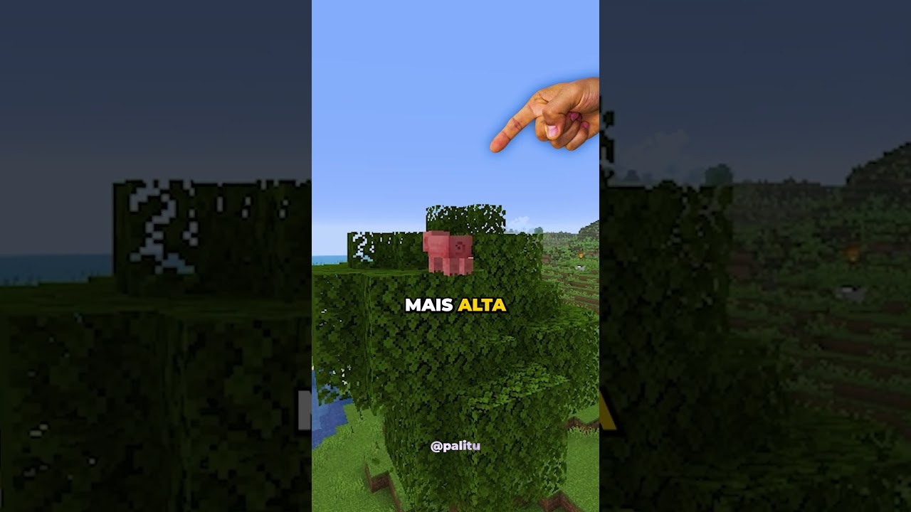 O PROXIMO PROJETO DO Vinnicius 13 #minecraft