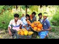 Farm fresh papaya fruits picking and eating in my village papaya garden | village food taste